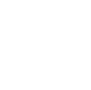 gemeente den haag